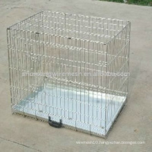 Beautiful welded dog cage